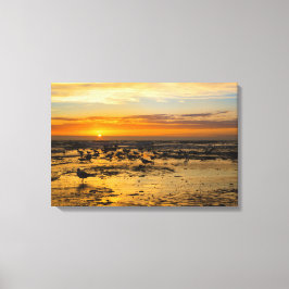 Möwen im Sonnenuntergang Canvas Afdruk