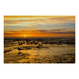 Möwen im Sonnenuntergang Perfect Poster