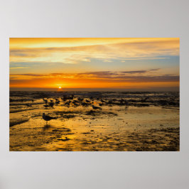 Möwen im Sonnenuntergang Poster