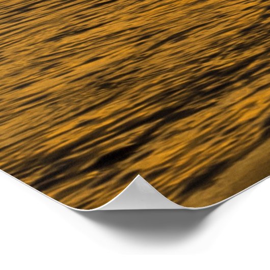 Möwen im Sonnenuntergang Poster (Hoek)