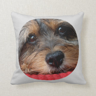 Moxi Clean als een fluitje Shorkie Pillow Kussen