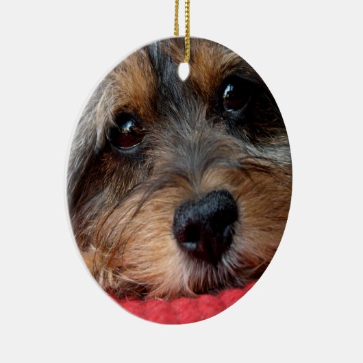 Moxi Clean als een fluitje Shorkie-sierlijk Keramisch Ornament (Rechts)