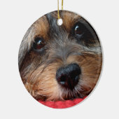 Moxi Clean als een fluitje Shorkie-sierlijk Keramisch Ornament (Links)