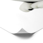 Moxie Cat en Butterflies Print (Hoek)