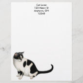 Moxie de Tuxedo Cat Letterhead Gepersonaliseerd Briefhoofd (Voorkant)