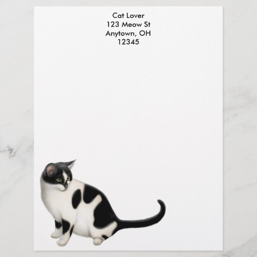 Moxie de Tuxedo Cat Letterhead Gepersonaliseerd Briefhoofd (Voorkant)
