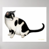 Moxie de Tuxedo Cat Print (Voorkant)