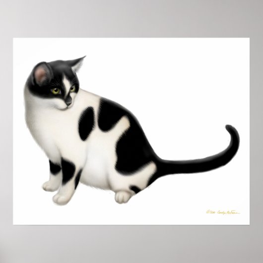 Moxie de Tuxedo Cat Print (Voorkant)
