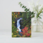 Moxie-Herfsten in het Maine-Briefkaart Briefkaart (Staand voorkant)