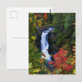 Moxie-Herfsten in het Maine-Briefkaart Briefkaart (Voorkant / Achterkant)