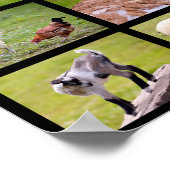 Mozaïek van landbouwhuisdieren poster (Hoek)