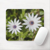 Mozaïek Witte Daisy Struik Bloemen - Muismat (Met muis)
