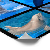 Mozaïekfoto's van dolfijnen poster (Hoek)