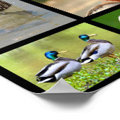 Mozaïekfoto's van eenden poster (Hoek)