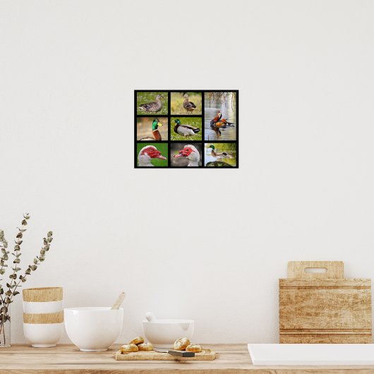 Mozaïekfoto's van eenden poster (Keuken)