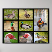 Mozaïekfoto's van eenden poster (Voorkant)