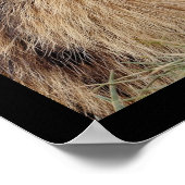 Mozaïekfoto's van knaagdieren poster (Hoek)