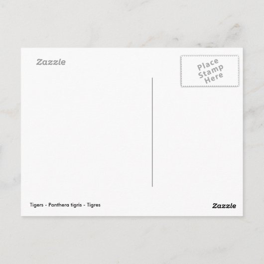 Mozaïekfoto's van leeuwen briefkaart (Achterkant)