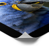 Mozaïekfoto's van papegaaien poster (Hoek)