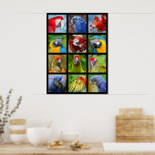 Mozaïekfoto's van papegaaien poster (Keuken)