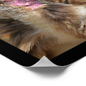 Mozaïekfoto's van prooi poster (Hoek)