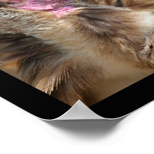 Mozaïekfoto's van prooi poster (Hoek)