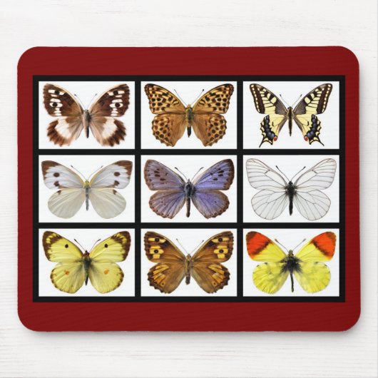 Mozaïekfoto's van vlinders muismat (Voorkant)