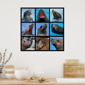 Mozaïekfoto's van zee leeuwen poster (Keuken)