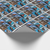 Mozaïekfoto's van zee leeuwenkoppeling cadeaupapier (Hoek)