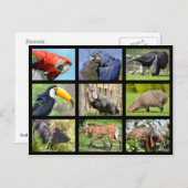 mozaïekfoto's Zuid-Amerikaanse dieren Briefkaart (Voorkant / Achterkant)
