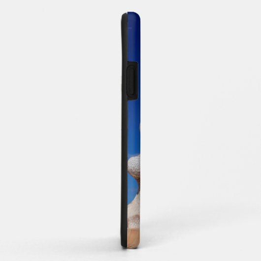 Mozaïekschoorsteen Case-Mate iPhone Case (Achterkant/rechts)