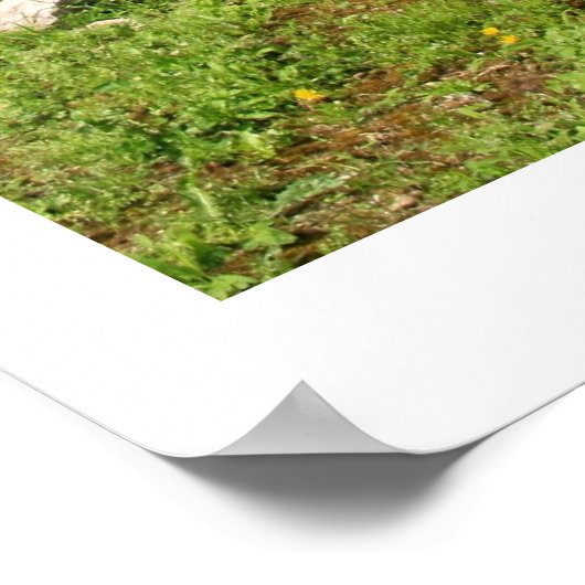 Mozaïeksectie Poster (Hoek)