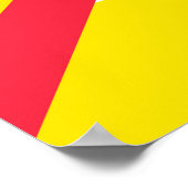 Mozambikaanse vlag poster (Hoek)