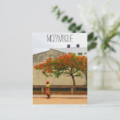 mozambique rode boom briefkaart (Staand voorkant)