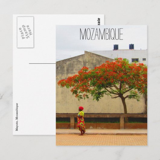 mozambique rode boom briefkaart (Voorkant / Achterkant)