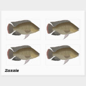 Mozambique Tilapia Rechthoekige Sticker (Vel)