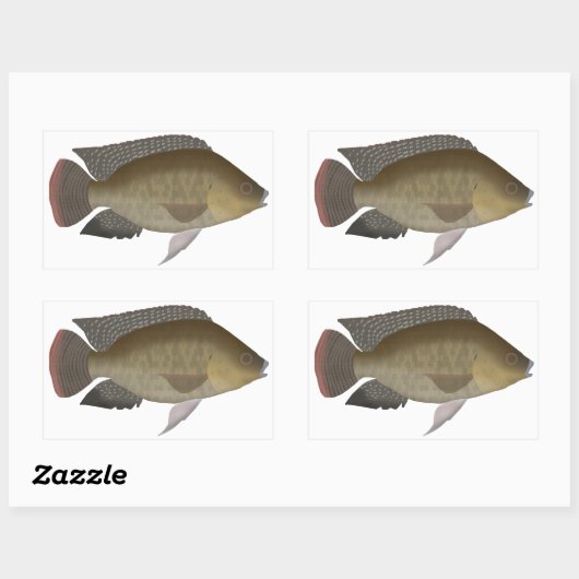 Mozambique Tilapia Rechthoekige Sticker (Vel)
