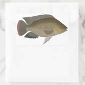 Mozambique Tilapia Rechthoekige Sticker (Tas)