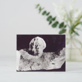 Mozart, 1911 briefkaart (Staand voorkant)