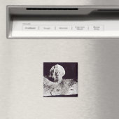 Mozart, 1911 magneet (Insitu (Vaatwasser))