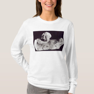 Mozart, 1911 t-shirt