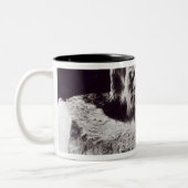 Mozart, 1911 tweekleurige koffiemok (Links)