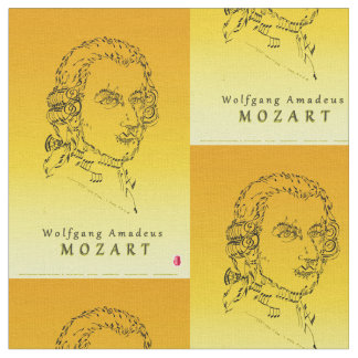 Mozart aan de muziek stof