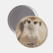 Mozart Magnet (Voorkant / Achterkant)