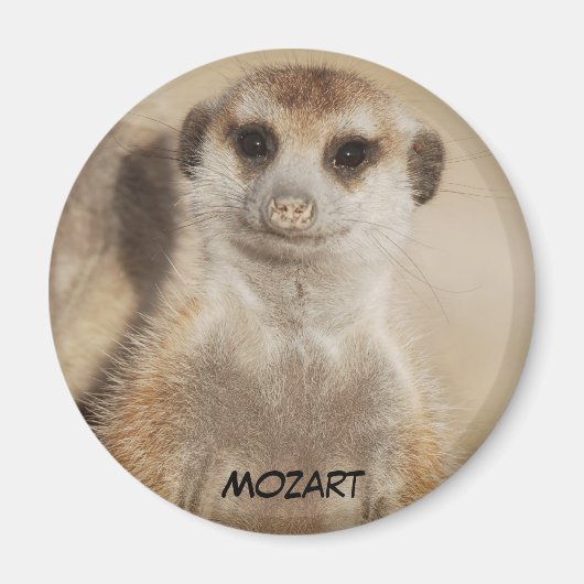 Mozart Magnet (Voorkant)