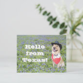 Mozes in Bluebonnets Briefkaart (Staand voorkant)