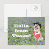 Mozes in Bluebonnets Briefkaart (Voorkant / Achterkant)