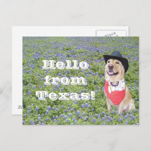 Mozes in Bluebonnets Briefkaart (Voorkant / Achterkant)