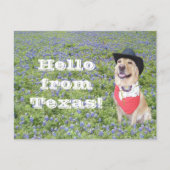 Mozes in Bluebonnets Briefkaart (Voorkant)