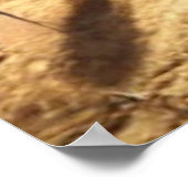 Mozes scheidt het rode Zee Poster (Hoek)